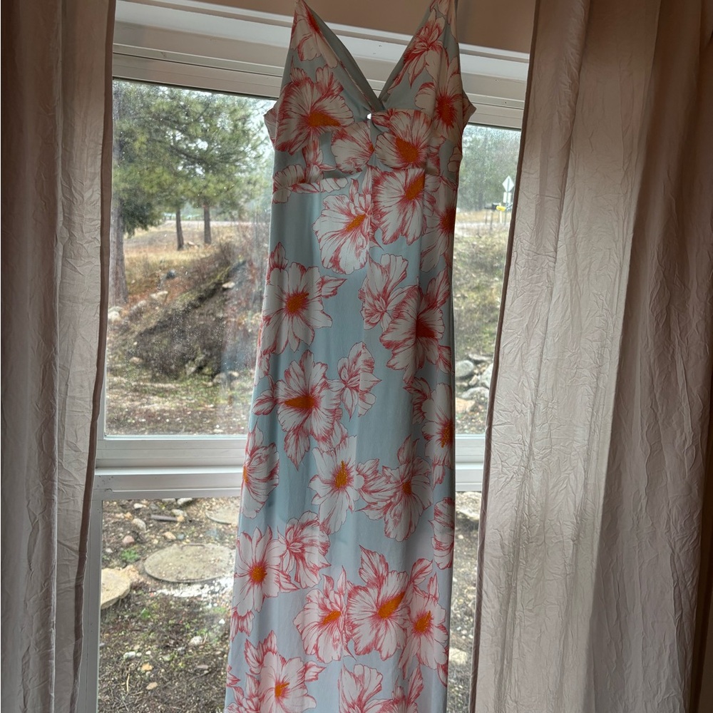 Takara Blue and Pink Floral Backless Dress